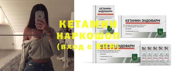 сатива Магадан