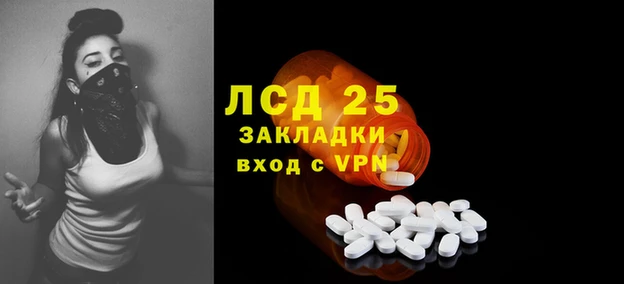 сатива Магадан