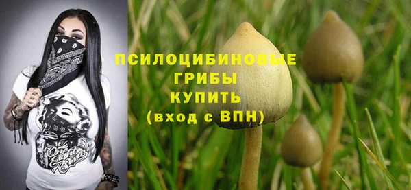 сатива Магадан