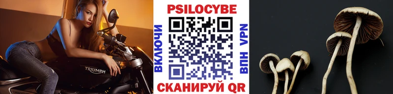 Галлюциногенные грибы GOLDEN TEACHER kraken ссылки Южноуральск